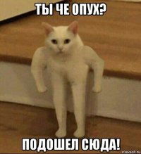 ты че опух? подошел сюда!