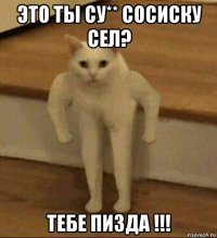 это ты су** сосиску сел? тебе пизда !!!