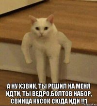  а ну хэвик, ты решил на меня идти, ты ведро,болтов набор, свинца кусок сюда иди !!1