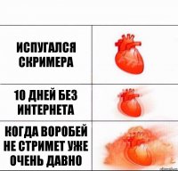 испугался скримера 10 дней без интернета когда воробей не стримет уже очень давно