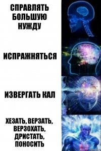 Справлять большую нужду испражняться извергать кал хезать, верзать, верзохать, дристать, поносить