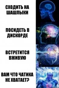 сходить на шашлыки посидеть в дискорде встретится вживую вам что чатика не хватает?