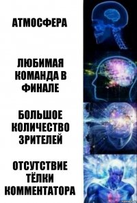 АТМОСФЕРА ЛЮБИМАЯ КОМАНДА В ФИНАЛЕ БОЛЬШОЕ КОЛИЧЕСТВО ЗРИТЕЛЕЙ ОТСУТСТВИЕ ТЁЛКИ КОММЕНТАТОРА