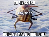 то чувство когда в мае выпал снег