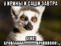 у ирины и саши завтра секс! броваааааа!!!!!!!!!!!!!бравввооо!