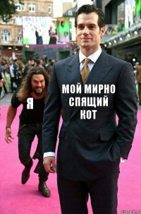 Мой мирно спящий кот Я