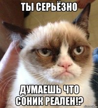 ты серьёзно думаешь что соник реален!?