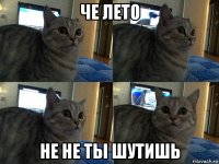 че лето не не ты шутишь