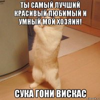 ты самый лучший красивый любимый и умный мой хозяин! сука гони вискас