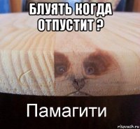 блуять когда отпустит ? 