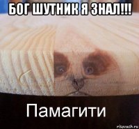 бог шутник я знал!!! 