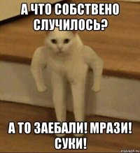 а что собствено случилось? а то заебали! мрази! суки!