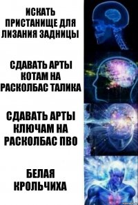 Искать пристанище для лизания задницы Сдавать арты котам на расколбас талика Сдавать арты ключам на расколбас пво Белая Крольчиха