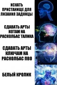 Искать пристанище для лизания задницы Сдавать арты котам на расколбас талика Сдавать арты ключам на расколбас пво Белый Кролик