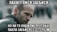 пахнет пися заебися но на то она и пися, чтобы пахла заебися (с) стэтхэм