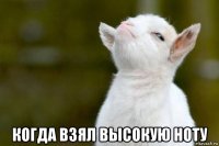  когда взял высокую ноту