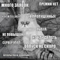 много заявок хз как делать 10 пропущенных начальство не довольно не повышают премии нет отпуск не скоро какой то Linux Сервер упал AVAYA