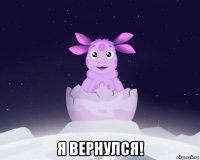  я вернулся!