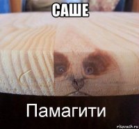 саше 