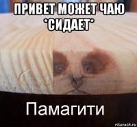 привет может чаю *сидает* 