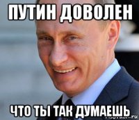 путин доволен что ты так думаешь