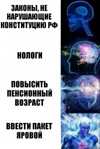 законы, не нарушающие конституцию РФ нологи повысить пенсионный возраст ввести пакет яровой