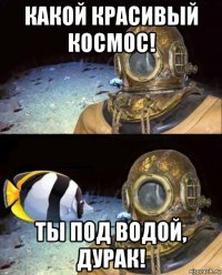 какой красивый космос! ты под водой, дурак!