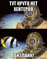 тут круто нет хейтеров дизлайк!