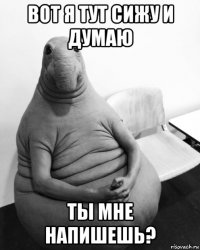 вот я тут сижу и думаю ты мне напишешь?