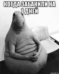 когда забанили на 7 дней 