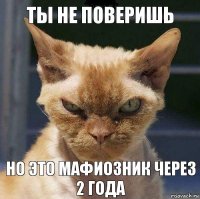 Ты не поверишь но это Мафиозник через 2 года