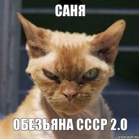 саня обезьяна ссср 2.0