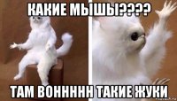 какие мышы???? там воннннн такие жуки