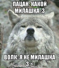 пацан: какой милашка :3 волк: я не милашка 3:<