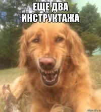 еще два инструктажа 