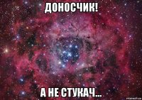 доносчик! а не стукач...