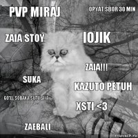 pvp miraj kazuto petuh iojik zaebali suka opyat sbor 30 min xSti <3 zaia stoy go'el sobaka sutulaya zaia!!!