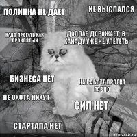 полинка не дает на работе проект гавно доллар дорожает, в канаду уже не улететь стартапа нет бизнеса нет не выспался сил нет надо прогать как проклятый не охота нихуя 