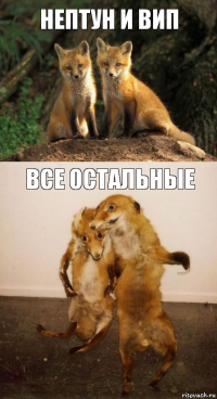 Нептун и Вип все остальные