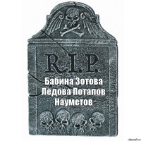 Бабина Зотова Лёдова Потапов Науметов