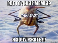 где годные мемы? я хочу ржать!!!