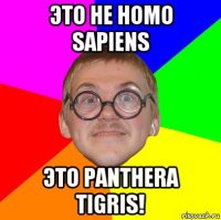 это не homo sapiens это panthera tigris!