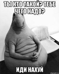 ты кто такой? тебе чего надо? иди нахуй