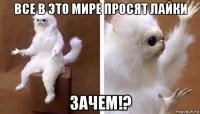 все в это мире просят лайки зачем!?