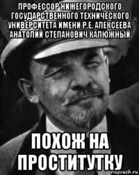 профессор нижегородского государственного технического университета имени р.е. алексеева анатолий степанович калюжный похож на проститутку