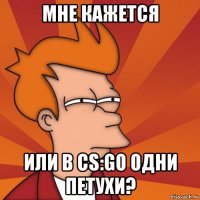 мне кажется или в cs:go одни петухи?