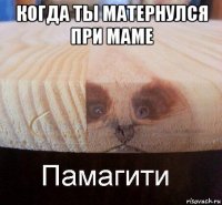 когда ты матернулся при маме 