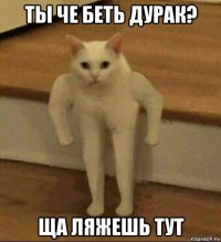 ты че беть дурак? ща ляжешь тут