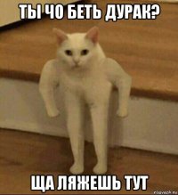 ты чо беть дурак? ща ляжешь тут