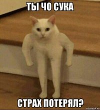 ты чо сука страх потерял?